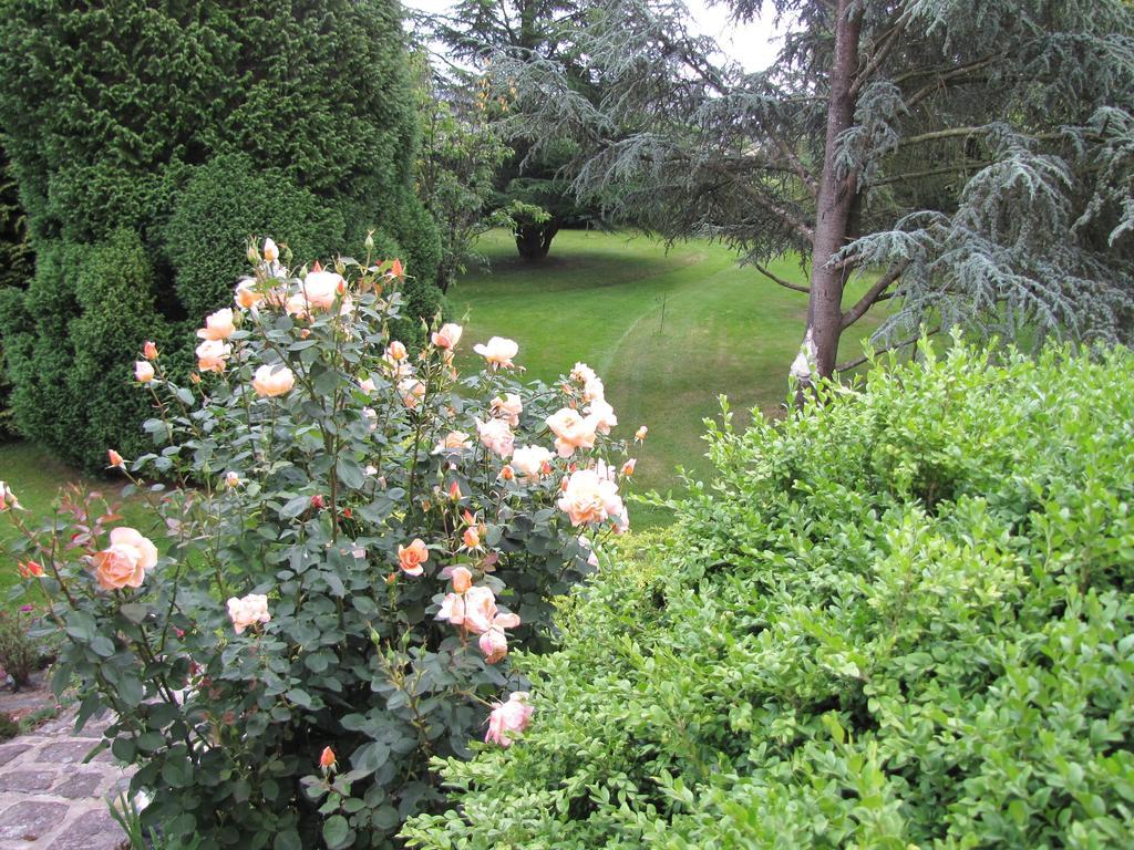 Vila Gite Broceliande Baulon Pokoj fotografie